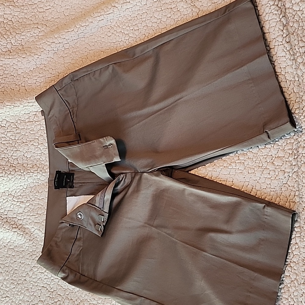Ann Taylor Shorts
